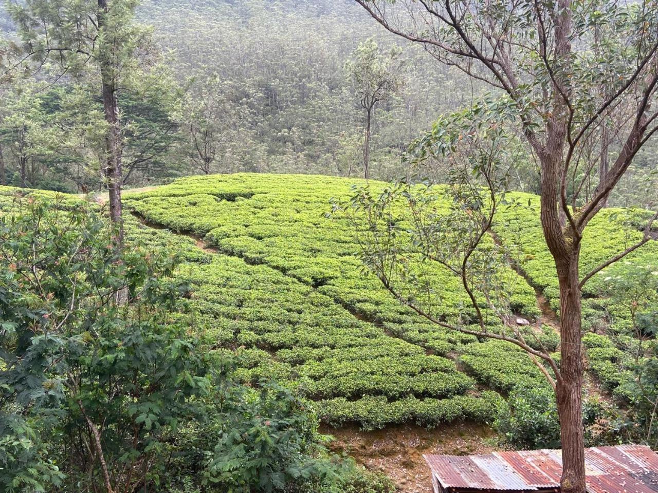 Shan Hotel Nallathanniya Buitenkant foto